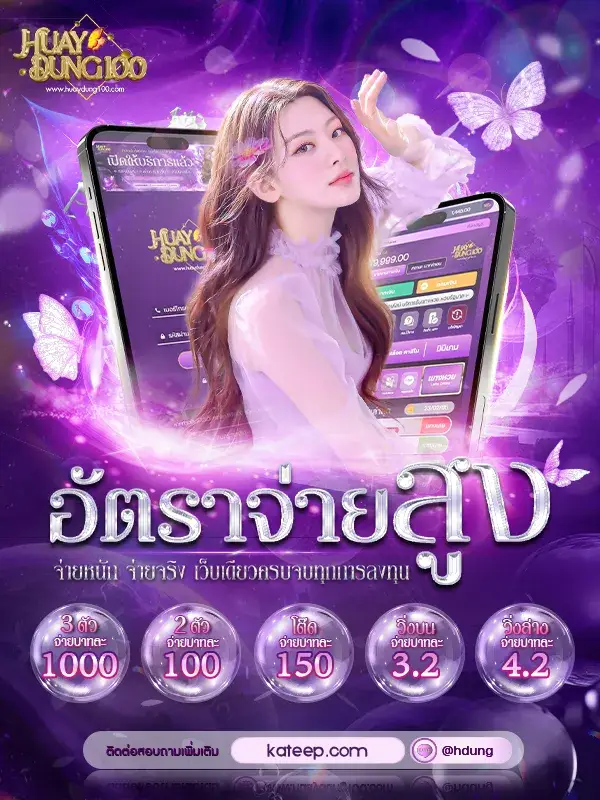 huaydung 100